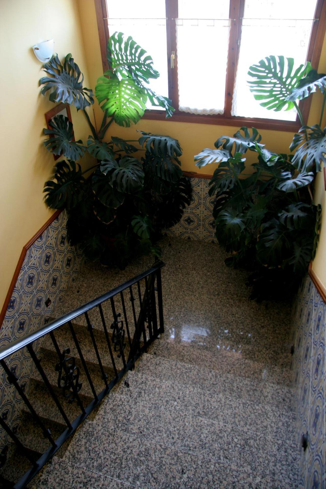 Hostal Casa Barranco Castejon del Puente Bagian luar foto