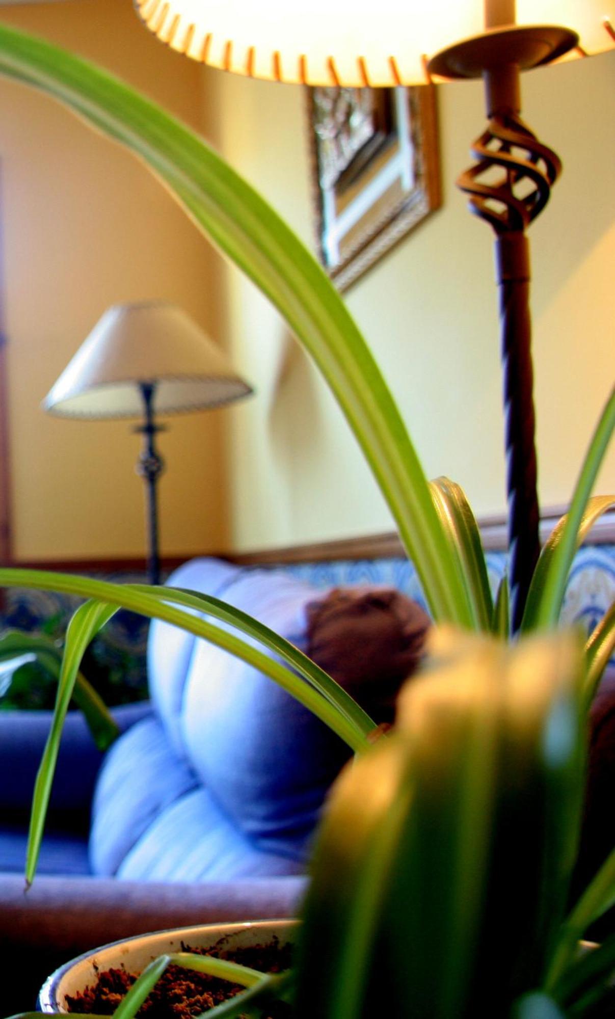 Hostal Casa Barranco Castejon del Puente Bagian luar foto